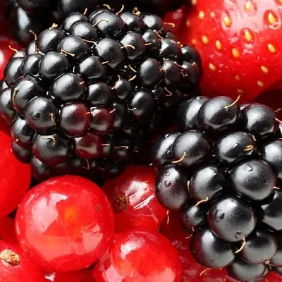 Ежевика в Подольске