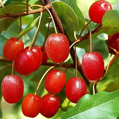 Гуми в Подольске