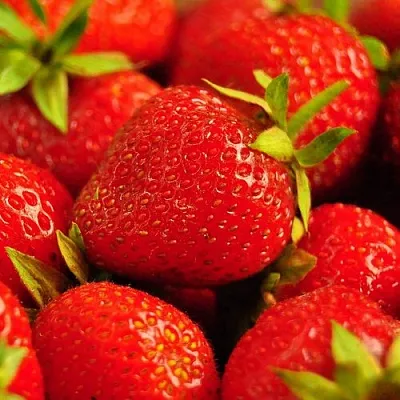 Клубника в Подольске