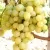 Виноград ТАЛИСМАН в Подольске